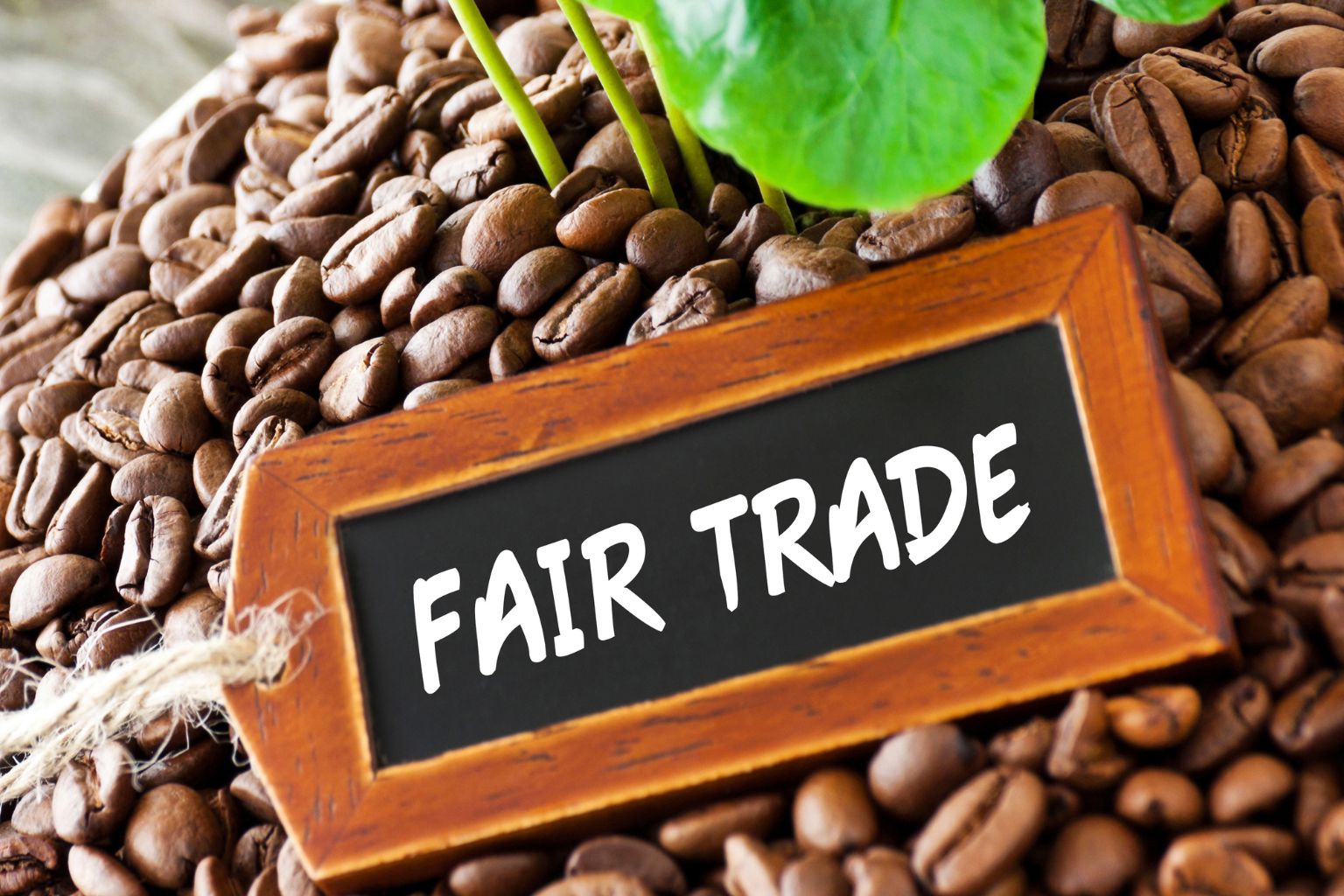 Fair Trade Practices